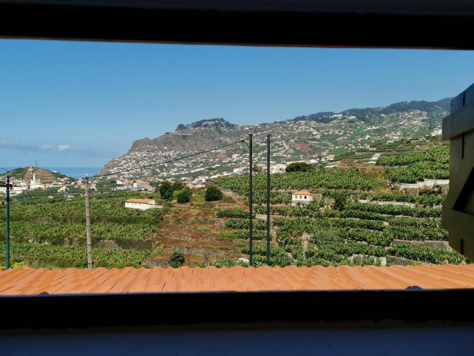 Villa Nova Madeira In Funchal Casa A And B חדר תמונה